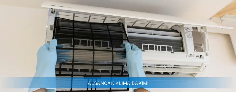 Alsancak İlçemi Alarko Carrier Klima Bakımı